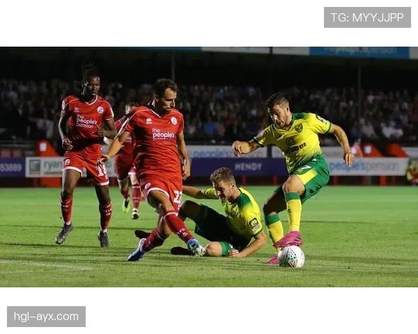 诺维奇卡罗路球场焕新升级，助力球队全面提升竞技实力